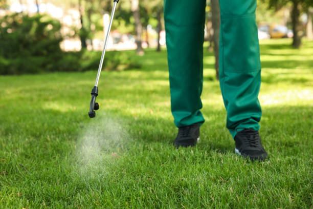 Best Commercial Pest Control Services  in Glen Dale, WV