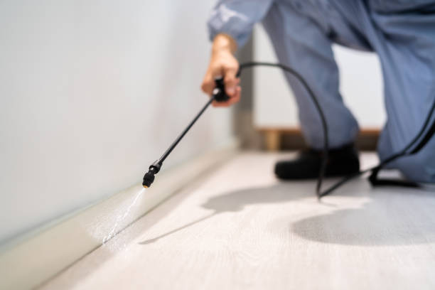 Professional Pest Control in Glen Dale, WV