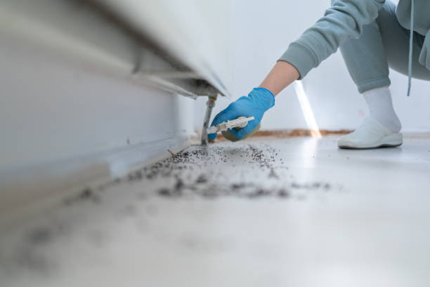 Best Pest Prevention Services  in Glen Dale, WV