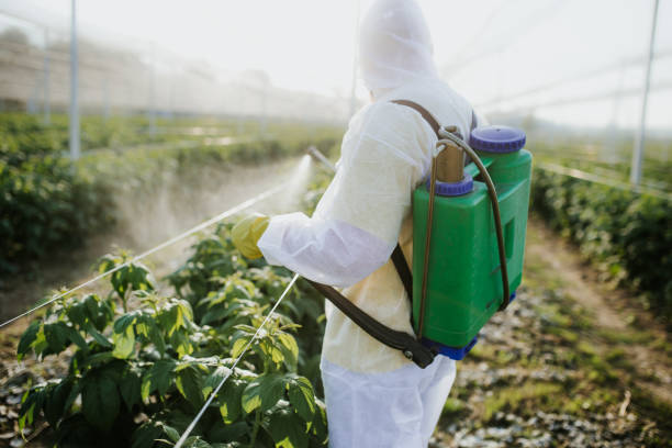 Pest Prevention Services in Glen Dale, WV